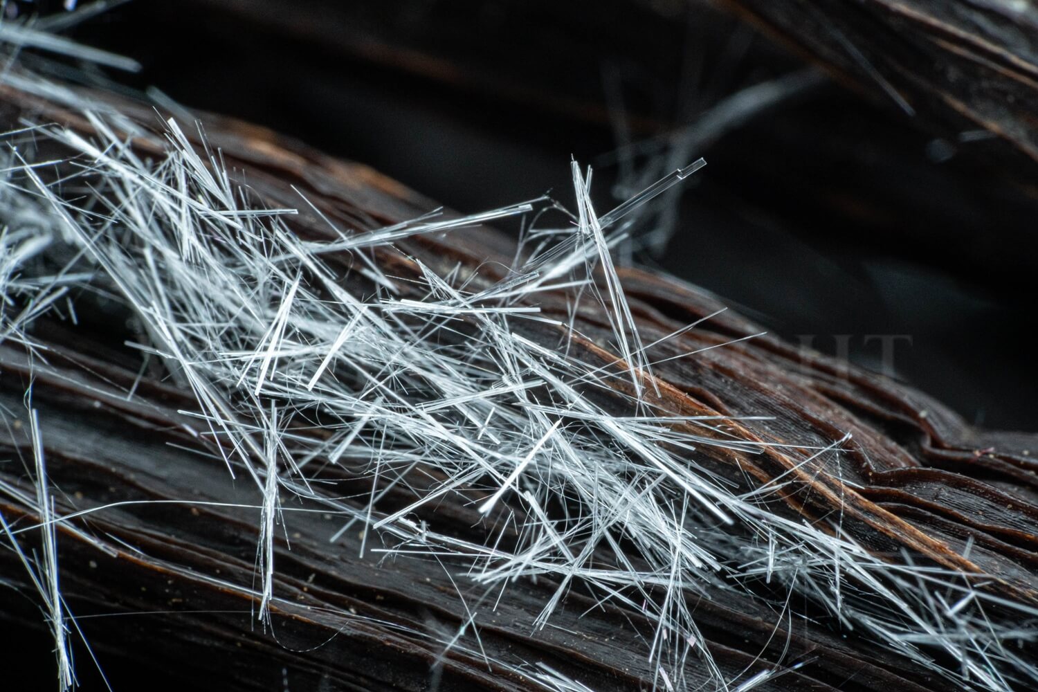 CRYSTALLIZED VANILLA - Image 2